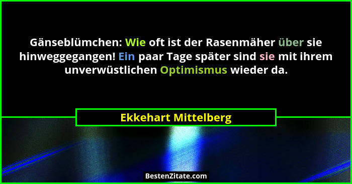 Gänseblümchen: Wie oft ist der Rasenmäher über sie hinweggegangen! Ein paar Tage später sind sie mit ihrem unverwüstlichen Optim... - Ekkehart Mittelberg