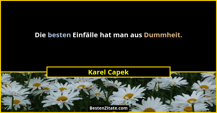 Die besten Einfälle hat man aus Dummheit.... - Karel Capek