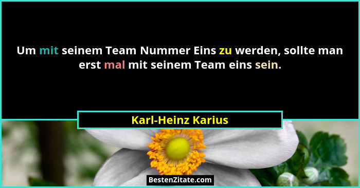 Um mit seinem Team Nummer Eins zu werden, sollte man erst mal mit seinem Team eins sein.... - Karl-Heinz Karius