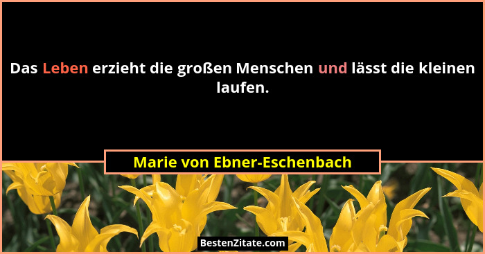 Das Leben erzieht die großen Menschen und lässt die kleinen laufen.... - Marie von Ebner-Eschenbach