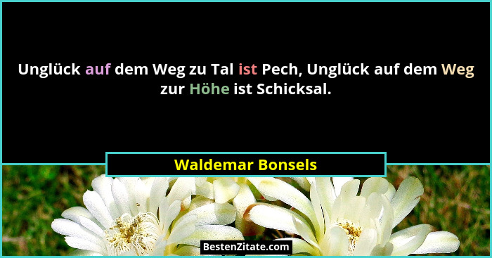 Unglück auf dem Weg zu Tal ist Pech, Unglück auf dem Weg zur Höhe ist Schicksal.... - Waldemar Bonsels