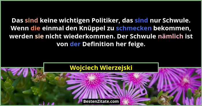 Das sind keine wichtigen Politiker, das sind nur Schwule. Wenn die einmal den Knüppel zu schmecken bekommen, werden sie nicht wi... - Wojciech Wierzejski
