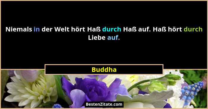 Niemals in der Welt hört Haß durch Haß auf. Haß hört durch Liebe auf.... - Buddha