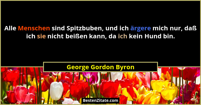 Alle Menschen sind Spitzbuben, und ich ärgere mich nur, daß ich sie nicht beißen kann, da ich kein Hund bin.... - George Gordon Byron