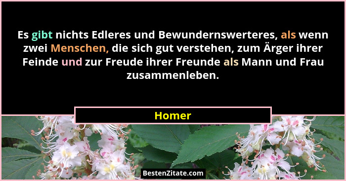 Es gibt nichts Edleres und Bewundernswerteres, als wenn zwei Menschen, die sich gut verstehen, zum Ärger ihrer Feinde und zur Freude ihrer Fre... - Homer
