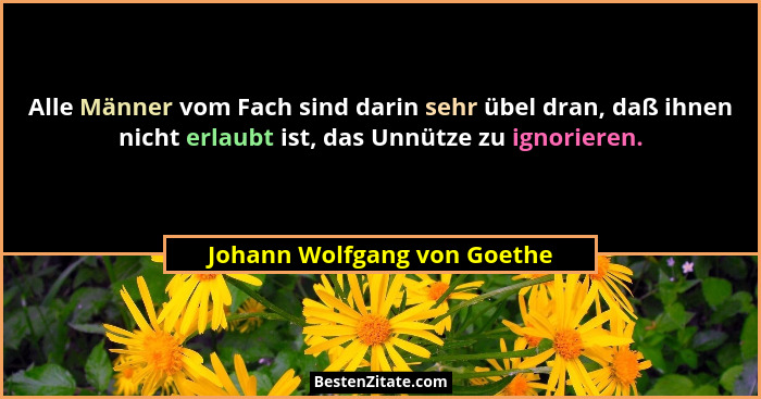 Alle Männer vom Fach sind darin sehr übel dran, daß ihnen nicht erlaubt ist, das Unnütze zu ignorieren.... - Johann Wolfgang von Goethe