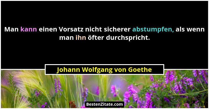Man kann einen Vorsatz nicht sicherer abstumpfen, als wenn man ihn öfter durchspricht.... - Johann Wolfgang von Goethe