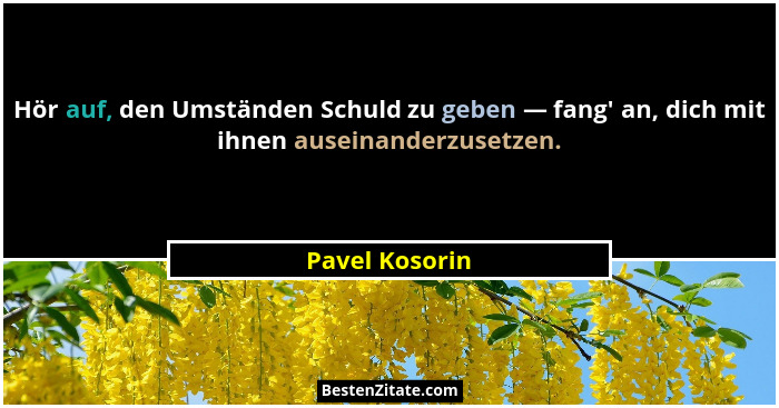 Hör auf, den Umständen Schuld zu geben — fang' an, dich mit ihnen auseinanderzusetzen.... - Pavel Kosorin