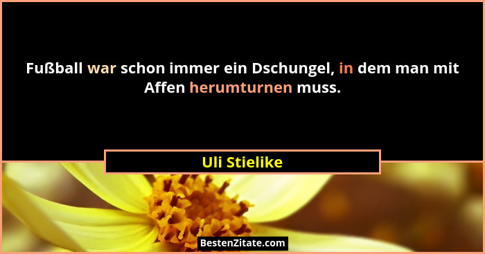Fußball war schon immer ein Dschungel, in dem man mit Affen herumturnen muss.... - Uli Stielike