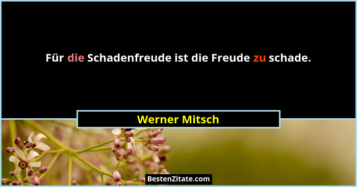 Für die Schadenfreude ist die Freude zu schade.... - Werner Mitsch