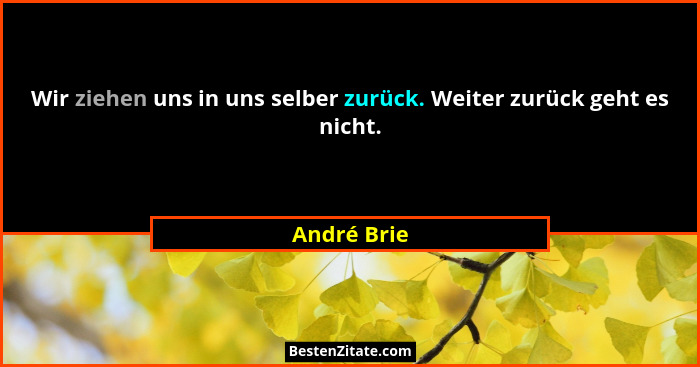 Wir ziehen uns in uns selber zurück. Weiter zurück geht es nicht.... - André Brie