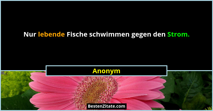 Nur lebende Fische schwimmen gegen den Strom.... - Anonym
