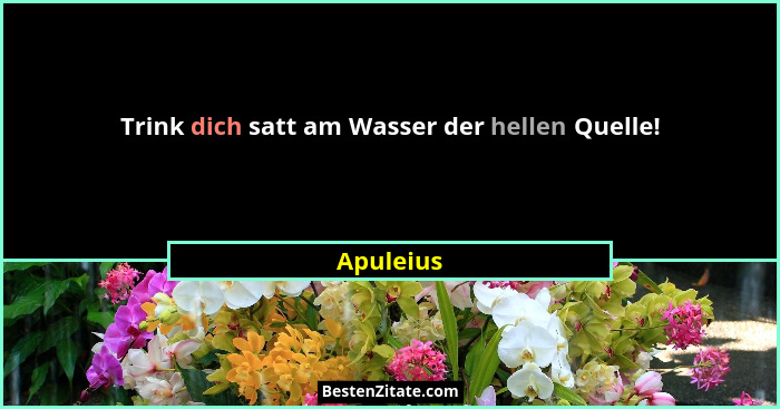 Trink dich satt am Wasser der hellen Quelle!... - Apuleius