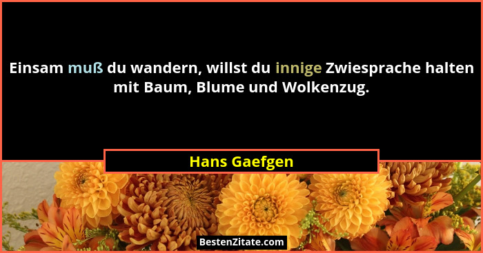 Einsam muß du wandern, willst du innige Zwiesprache halten mit Baum, Blume und Wolkenzug.... - Hans Gaefgen