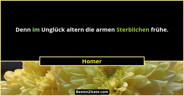 Denn im Unglück altern die armen Sterblichen frühe.... - Homer