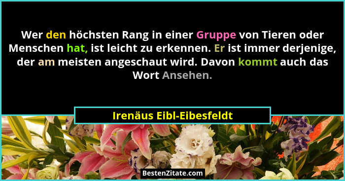 Wer den höchsten Rang in einer Gruppe von Tieren oder Menschen hat, ist leicht zu erkennen. Er ist immer derjenige, der am m... - Irenäus Eibl-Eibesfeldt
