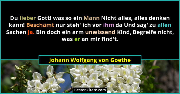 Du lieber Gott! was so ein Mann Nicht alles, alles denken kann! Beschämt nur steh' ich vor ihm da Und sag' zu all... - Johann Wolfgang von Goethe