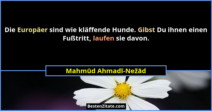 Die Europäer sind wie kläffende Hunde. Gibst Du ihnen einen Fußtritt, laufen sie davon.... - Mahmūd Ahmadī-Nežād