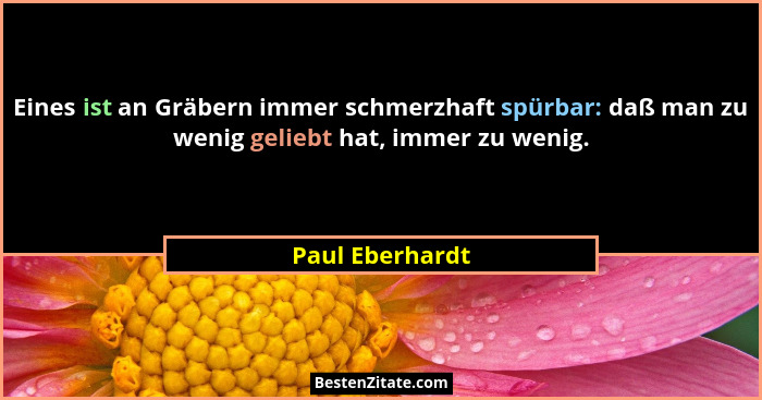 Eines ist an Gräbern immer schmerzhaft spürbar: daß man zu wenig geliebt hat, immer zu wenig.... - Paul Eberhardt