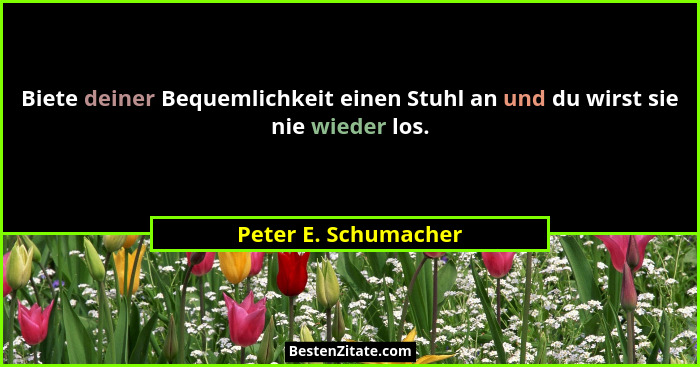 Biete deiner Bequemlichkeit einen Stuhl an und du wirst sie nie wieder los.... - Peter E. Schumacher