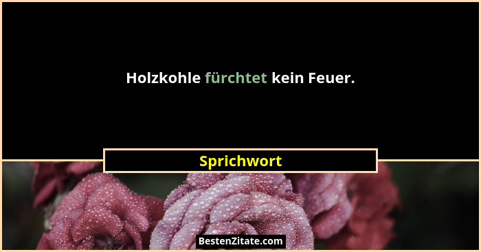 Holzkohle fürchtet kein Feuer.... - Sprichwort