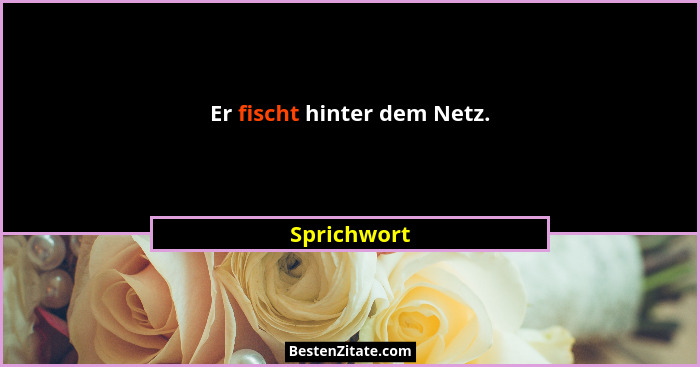 Er fischt hinter dem Netz.... - Sprichwort