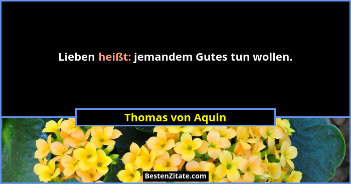 Lieben heißt: jemandem Gutes tun wollen.... - Thomas von Aquin