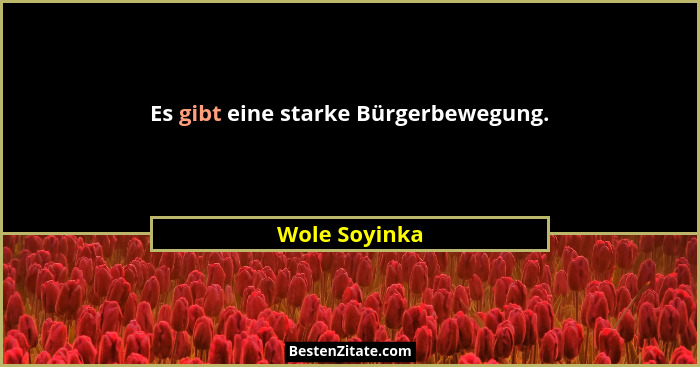 Es gibt eine starke Bürgerbewegung.... - Wole Soyinka