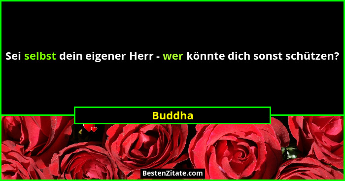 Sei selbst dein eigener Herr - wer könnte dich sonst schützen?... - Buddha
