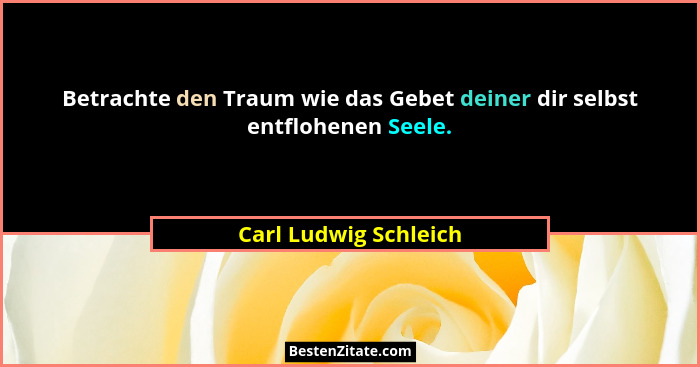 Betrachte den Traum wie das Gebet deiner dir selbst entflohenen Seele.... - Carl Ludwig Schleich