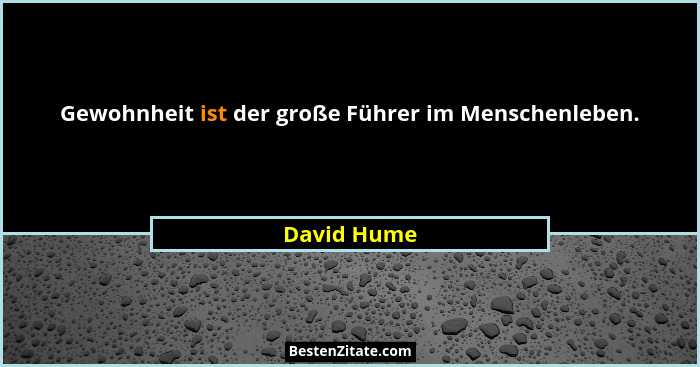 Gewohnheit ist der große Führer im Menschenleben.... - David Hume