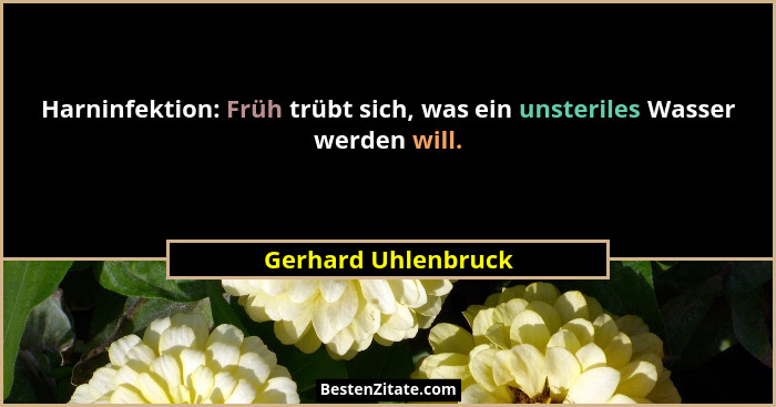 Harninfektion: Früh trübt sich, was ein unsteriles Wasser werden will.... - Gerhard Uhlenbruck