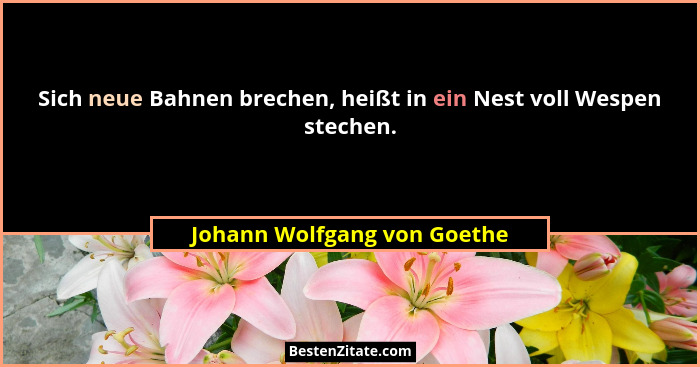 Sich neue Bahnen brechen, heißt in ein Nest voll Wespen stechen.... - Johann Wolfgang von Goethe