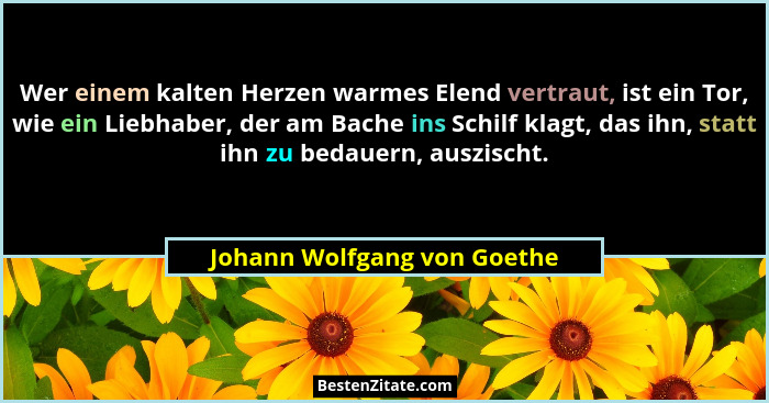 Wer einem kalten Herzen warmes Elend vertraut, ist ein Tor, wie ein Liebhaber, der am Bache ins Schilf klagt, das ihn, st... - Johann Wolfgang von Goethe