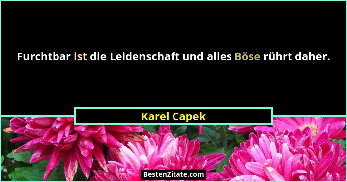 Furchtbar ist die Leidenschaft und alles Böse rührt daher.... - Karel Capek