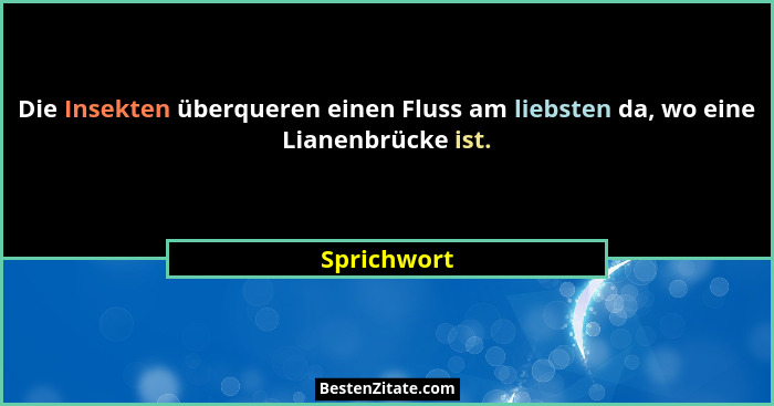 Die Insekten überqueren einen Fluss am liebsten da, wo eine Lianenbrücke ist.... - Sprichwort