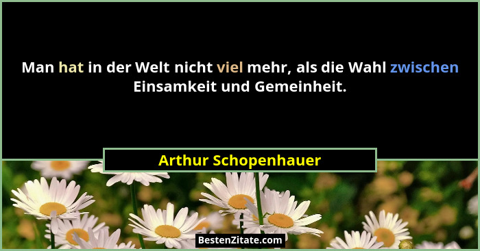 Man hat in der Welt nicht viel mehr, als die Wahl zwischen Einsamkeit und Gemeinheit.... - Arthur Schopenhauer