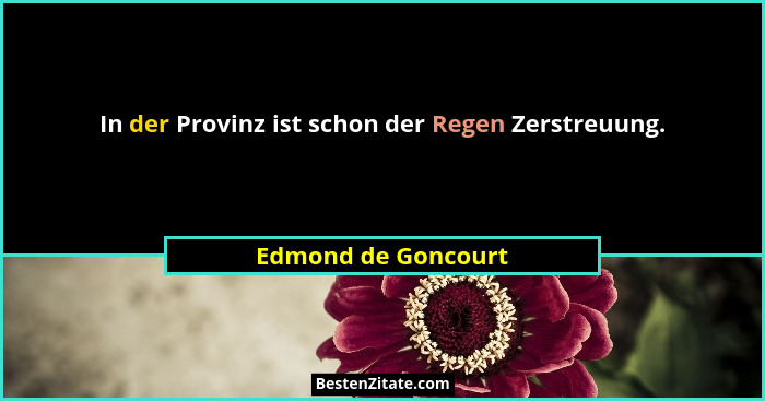In der Provinz ist schon der Regen Zerstreuung.... - Edmond de Goncourt