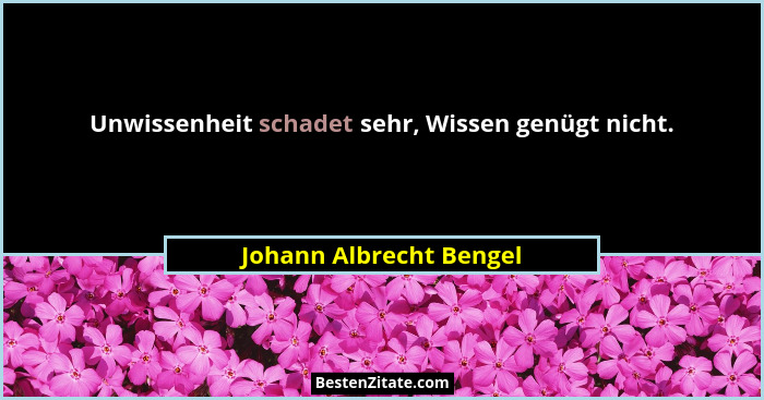 Unwissenheit schadet sehr, Wissen genügt nicht.... - Johann Albrecht Bengel