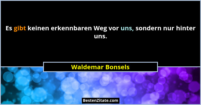 Es gibt keinen erkennbaren Weg vor uns, sondern nur hinter uns.... - Waldemar Bonsels