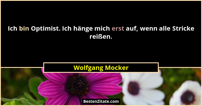Ich bin Optimist. Ich hänge mich erst auf, wenn alle Stricke reißen.... - Wolfgang Mocker