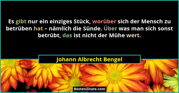 Es gibt nur ein einziges Stück, worüber sich der Mensch zu betrüben hat – nämlich die Sünde. Über was man sich sonst betrübt,... - Johann Albrecht Bengel