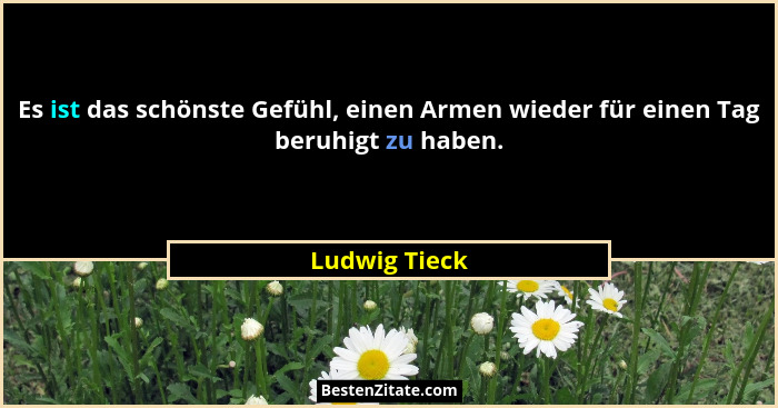 Es ist das schönste Gefühl, einen Armen wieder für einen Tag beruhigt zu haben.... - Ludwig Tieck