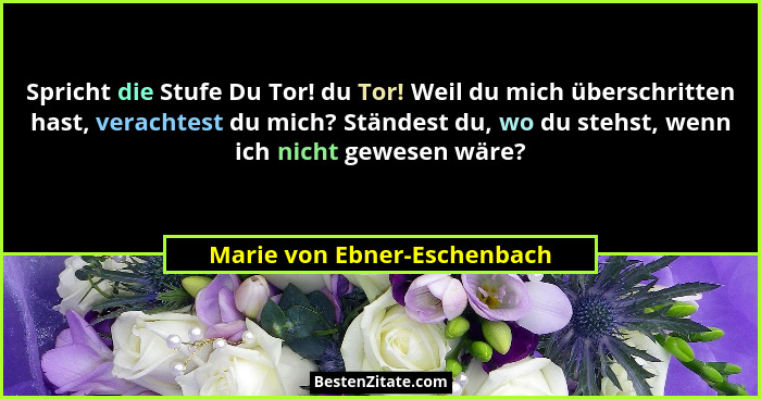 Spricht die Stufe Du Tor! du Tor! Weil du mich überschritten hast, verachtest du mich? Ständest du, wo du stehst, wenn ic... - Marie von Ebner-Eschenbach
