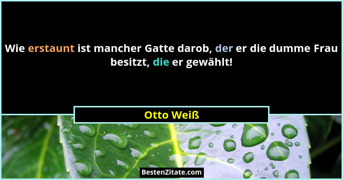 Wie erstaunt ist mancher Gatte darob, der er die dumme Frau besitzt, die er gewählt!... - Otto Weiß