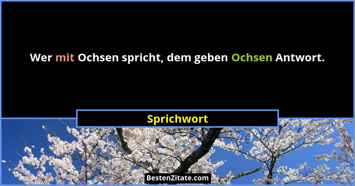 Wer mit Ochsen spricht, dem geben Ochsen Antwort.... - Sprichwort
