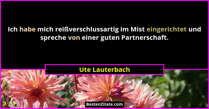 Ich habe mich reißverschlussartig im Mist eingerichtet und spreche von einer guten Partnerschaft.... - Ute Lauterbach