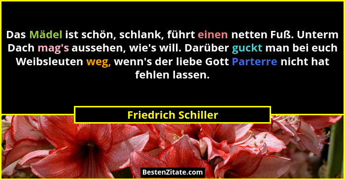 Das Mädel ist schön, schlank, führt einen netten Fuß. Unterm Dach mag's aussehen, wie's will. Darüber guckt man bei euch... - Friedrich Schiller