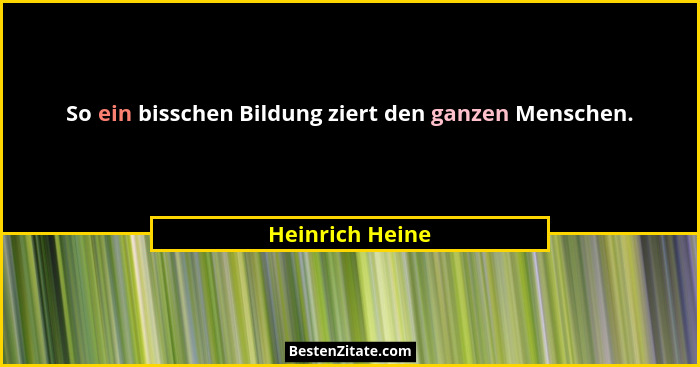 So ein bisschen Bildung ziert den ganzen Menschen.... - Heinrich Heine