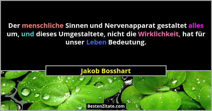Der menschliche Sinnen und Nervenapparat gestaltet alles um, und dieses Umgestaltete, nicht die Wirklichkeit, hat für unser Leben Bed... - Jakob Bosshart
